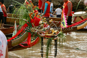 Zwei schmusende Drachen - ImageShop